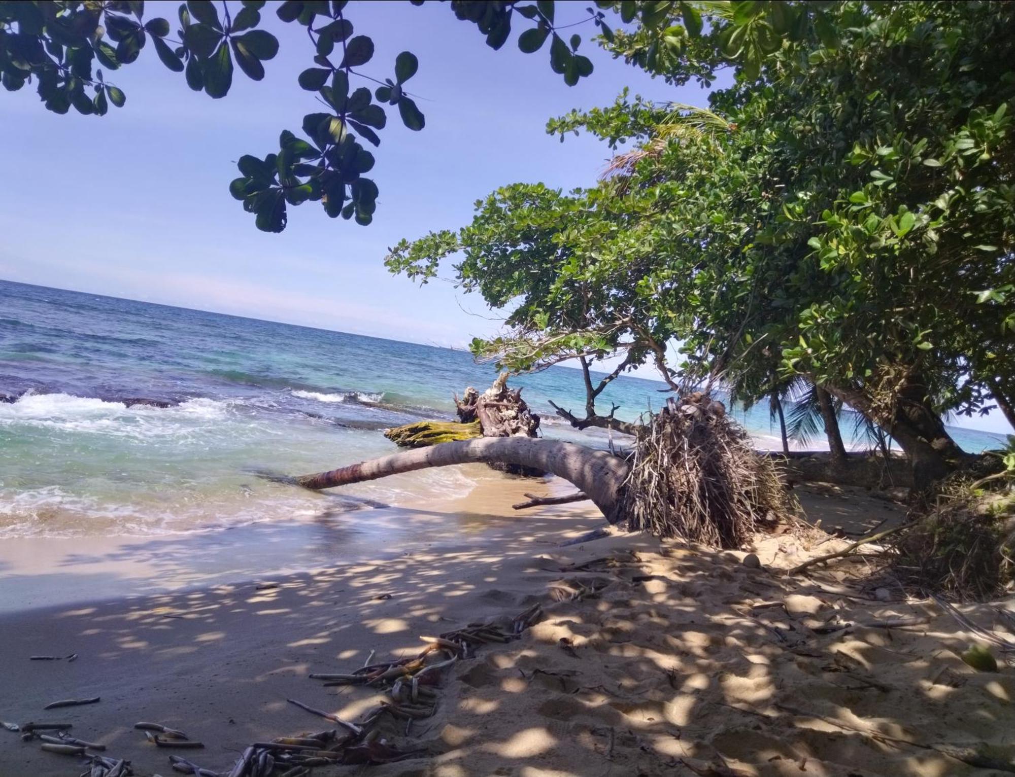 Serenity Houses Cahuita Exterior photo